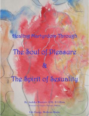 Book cover of Healing Martyrdom through the Soul of Pleasure and the Spirit of Sexuality
