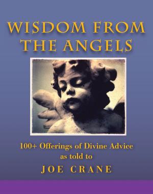 Cover of the book Wisdom of the Angels by Roberto Bani