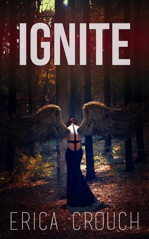 Cover of the book Ignite by Misty Provencher