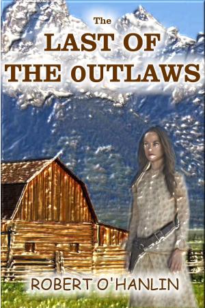Cover of the book The Last of the Outlaws by Alyson Hawksworth