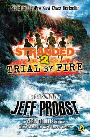 Cover of the book Trial by Fire by Bob Krech