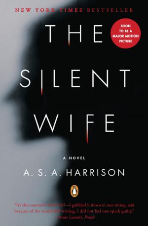 Cover of the book The Silent Wife by Derrick Niederman