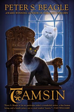 Cover of the book Tamsin by Patience Griffin