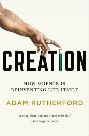 Cover of the book Creation by Brendan Vaughan