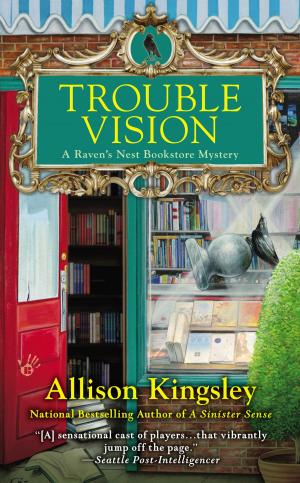 Cover of the book Trouble Vision by Steve Bein