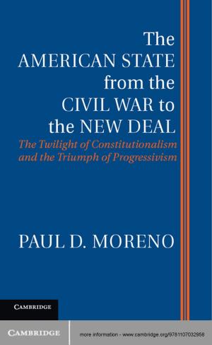 Book cover of The American State from the Civil War to the New Deal
