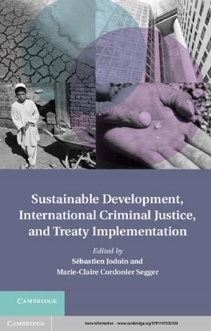 Cover of the book Sustainable Development, International Criminal Justice, and Treaty Implementation by Lisa Walters
