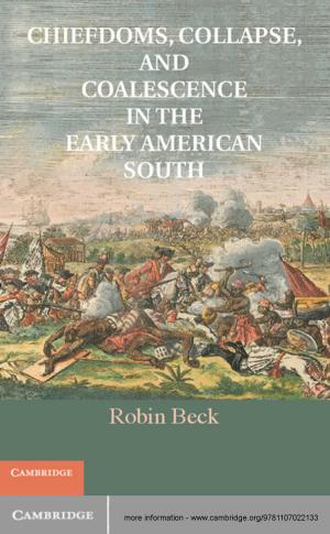 bigCover of the book Chiefdoms, Collapse, and Coalescence in the Early American South by 