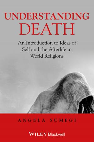 Cover of the book Understanding Death by Wei Jiang