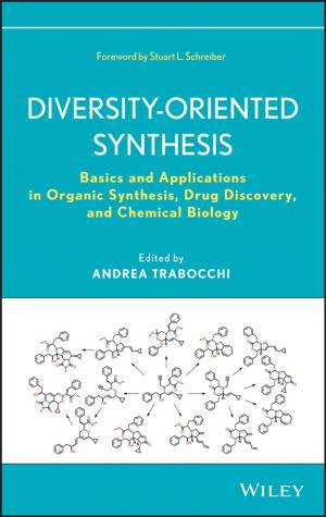 Cover of the book Diversity-Oriented Synthesis by Stef Maruch, Aahz Maruch