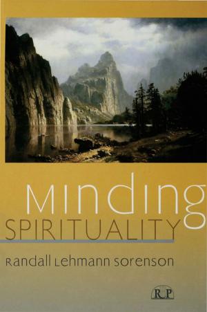 Cover of the book Minding Spirituality by Thomas Boleyn, Morteza Honari