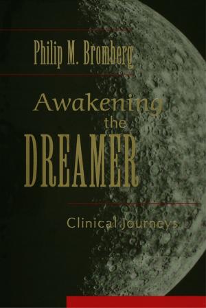Cover of the book Awakening the Dreamer by Chris Rudd