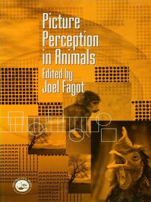Cover of the book Picture Perception in Animals by 