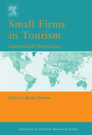 Cover of the book Small Firms in Tourism by Mia E. M. Treacey