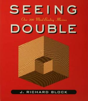 Cover of the book Seeing Double by Stephen H. Rapp Jr