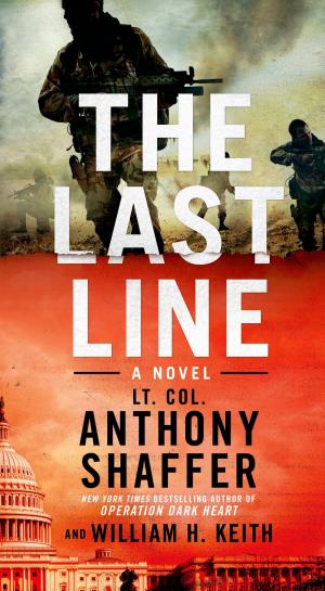 Cover of the book The Last Line by Megan Crane