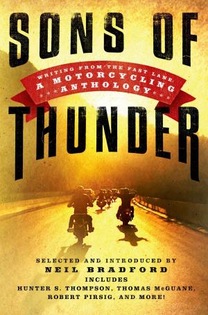 Cover of the book Sons of Thunder by lost lodge press