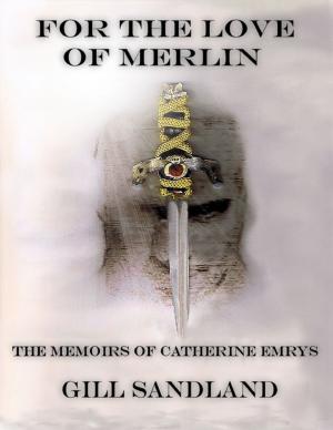 Cover of the book For the Love of Merlin by World Travel Publishing