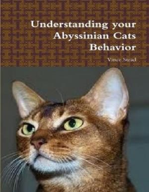 Cover of the book Understanding Your Abyssinian Cats Behavior by Winston Muniz