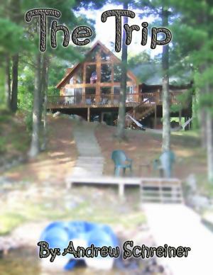 Cover of the book The Trip by Thirteen O'Clock Press