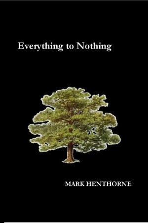 Cover of the book Everything to Nothing by Lord Haywire