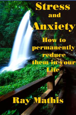 Book cover of Stress and Anxiety: How to permanently reduce them in your life
