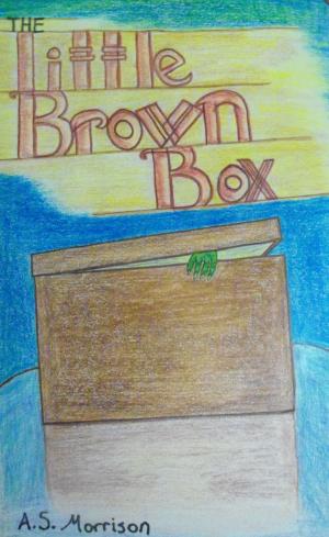 Cover of The Little Brown Box
