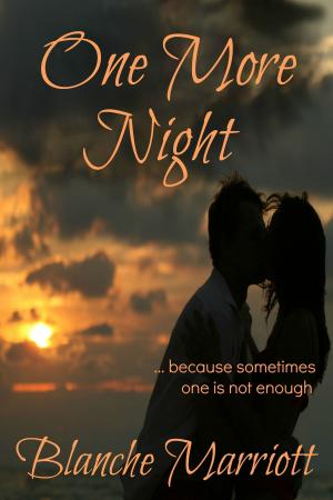 Cover of the book One More Night by Diana Duncan