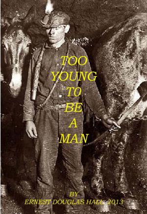 Cover of the book Too Young to be A Man by John Barlow