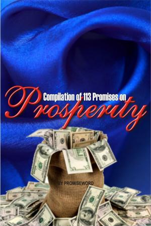 Book cover of Prosperity Promises