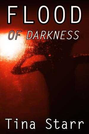 Cover of the book Flood of Darkness (a horror story) by J. Thorn, Kim Petersen, Zach Bohannon