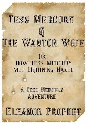 Cover of the book Tess Mercury and the Wanton Wife by Jeff Reich