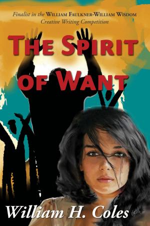 Book cover of The Spirit of Want
