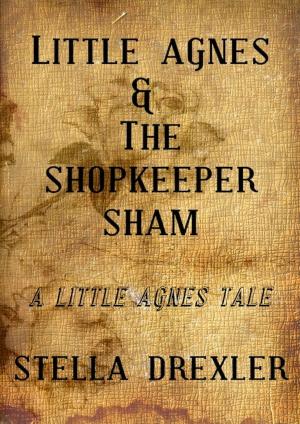 Cover of the book Little Agnes and the Shopkeeper Sham by Christina Hawkins, Tony Hawkins, Barbara Thornton-Haas