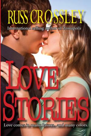 Cover of the book Love Stories by Amber Anthony