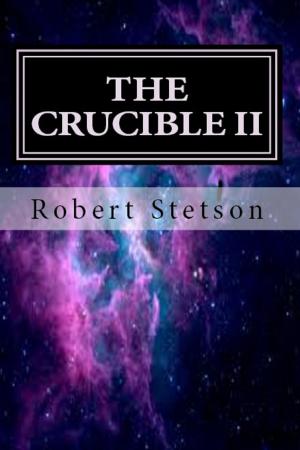 Cover of the book The Crucible II by S.P. Barnard