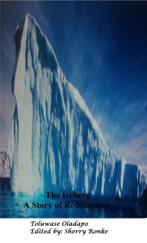 bigCover of the book The Iceberg ( A story Of Redemption) by 