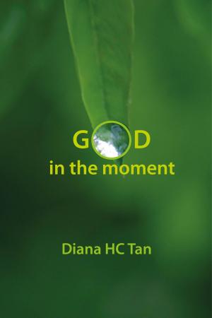 Cover of the book God in the moment by Kevin Toney