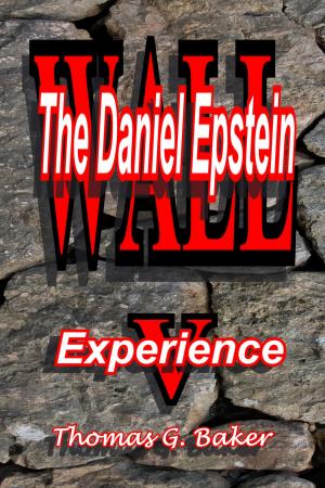 Book cover of Wall V The Daniel Epstein Experience