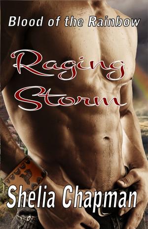 Cover of the book Blood of the Rainbow I: Raging Storm by John Chapman, Shelia Chapman