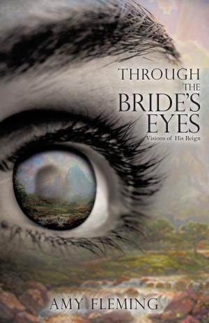 Book cover of Through the Bride's Eyes