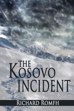 Cover of the book The Kosovo Incident by Jack Michael Doyle
