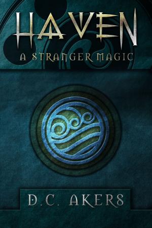 Cover of the book Haven: A Stranger Magic by Marc Loncin, Eclats de lire