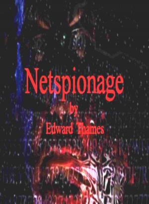 Cover of the book Netspionage by Doug Ricketts