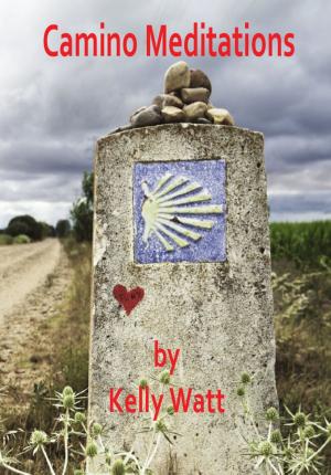 Cover of the book Camino Meditations by Leora Skolkin-Smith