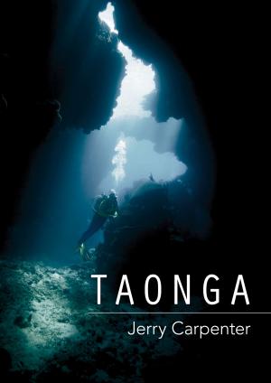 Cover of Taonga: Treasure Beneath