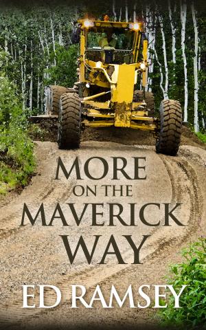 Cover of the book More on the Maverick Way by CLEBERSON EDUARDO DA COSTA