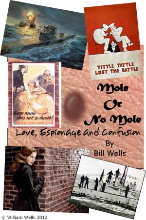 Cover of the book Mole or no Mole by Jamie J. Buchanan