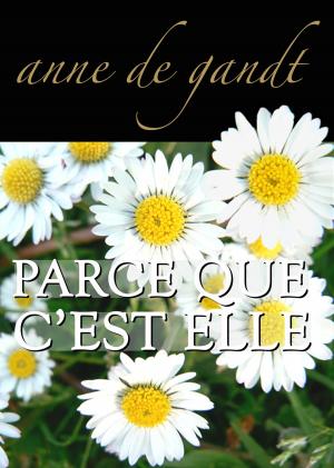 Cover of the book Parce que c'est elle (Saison 3) by Anne de Gandt