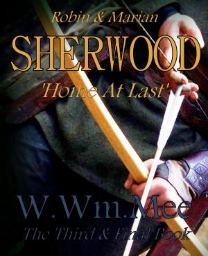 bigCover of the book Sherwood III 'Home At Last' by 